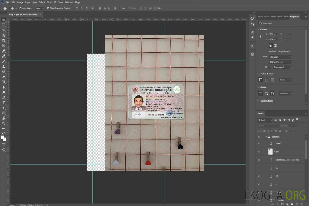 Timor Leste DL photolook AVANT template